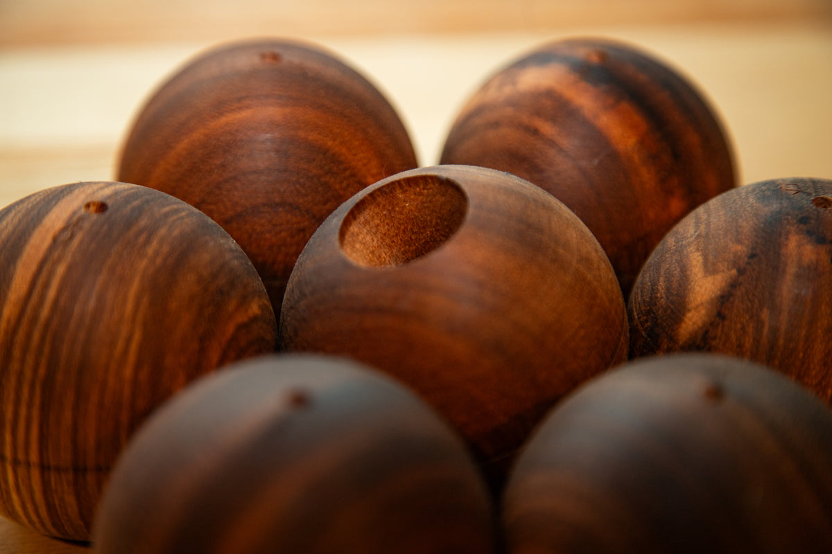 EUROPEAN BEECH KAITO NAKAJIMA KN-1 + ZEBRANO NATTY
